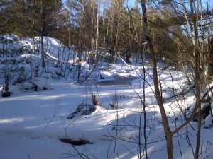 Winter scenery picture