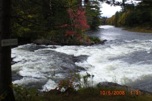 Muskoka river with fall colours