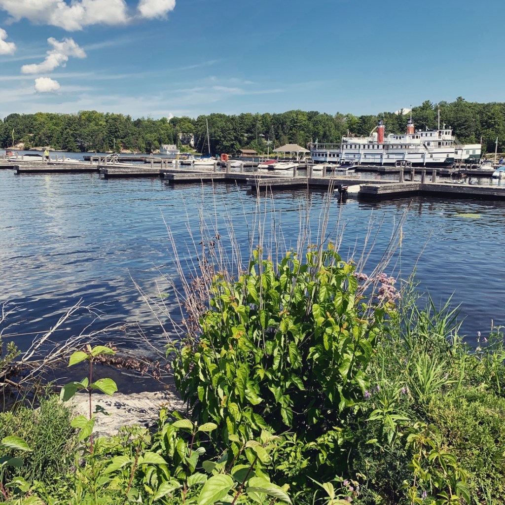 View looking out on Muskoka Wharf docks boats and the RMS Segwun